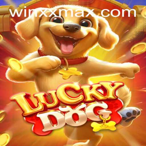 Discovering 'LuckyDog': A Thrilling Adventure with a Twist of Fate